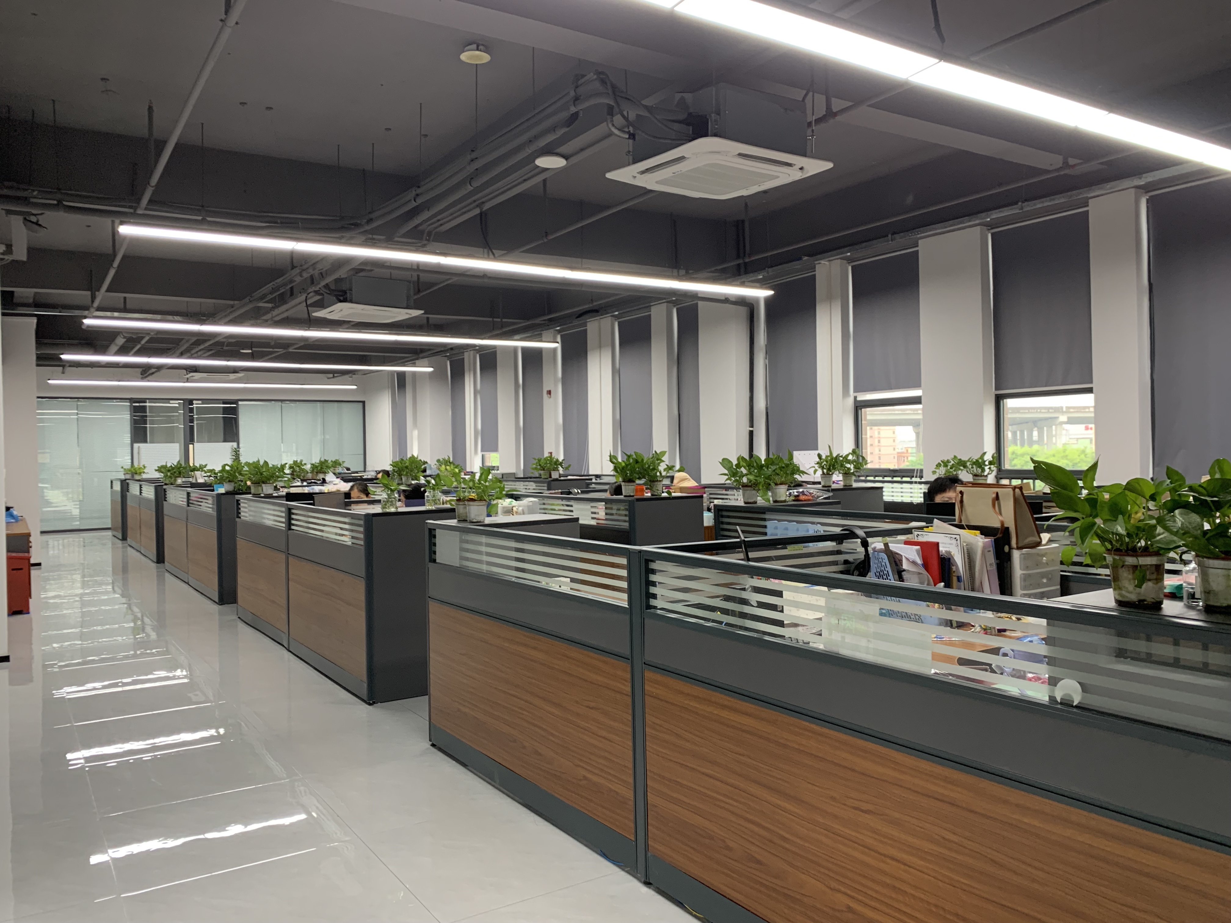 چین RICHSTAR (SHENZHEN) LIMITED نمایه شرکت